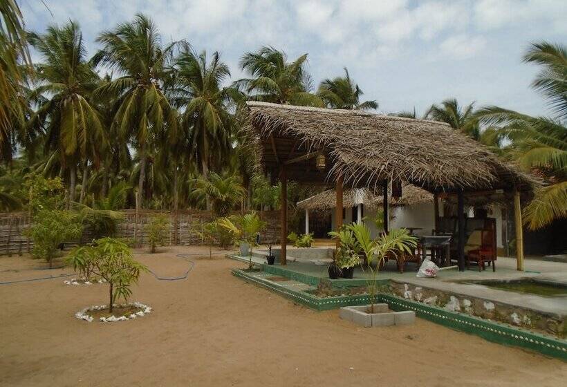 בית מלון כפרי Kite Bay Villa