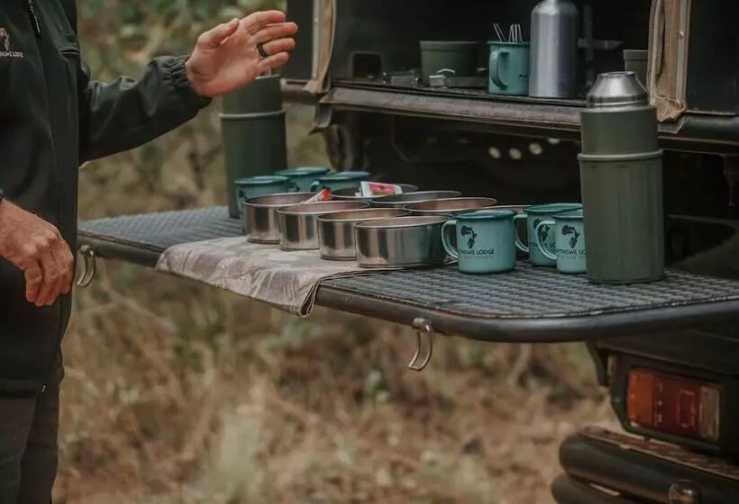 Hotelli Matingwe Lodge