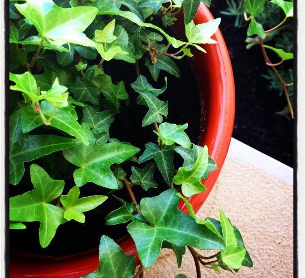 پانسیون Al Gharb Tavira Eco Guesthouse