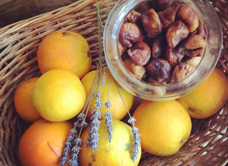 Majatalo Al Gharb Tavira Eco Guesthouse