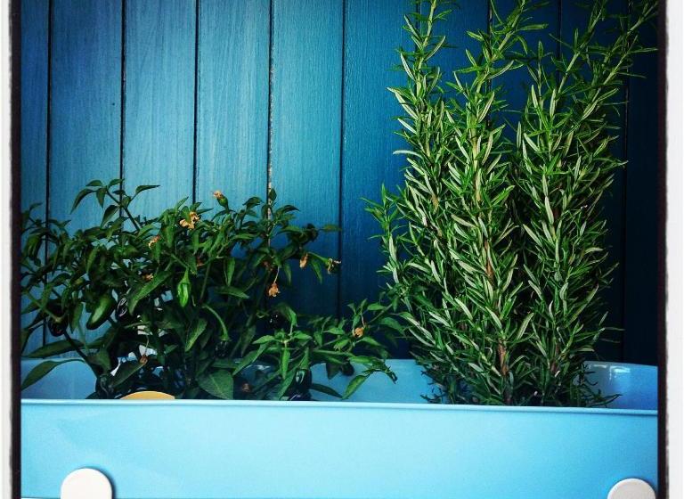 پانسیون Al Gharb Tavira Eco Guesthouse