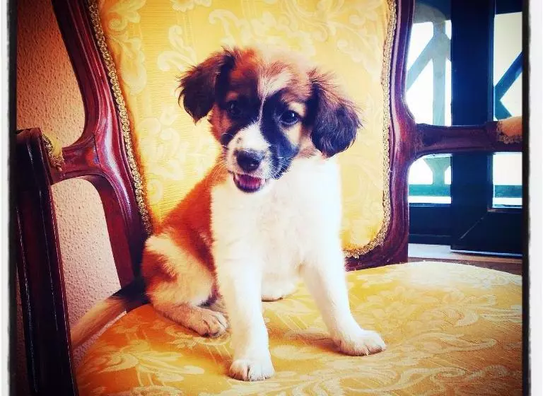 Majatalo Al Gharb Tavira Eco Guesthouse