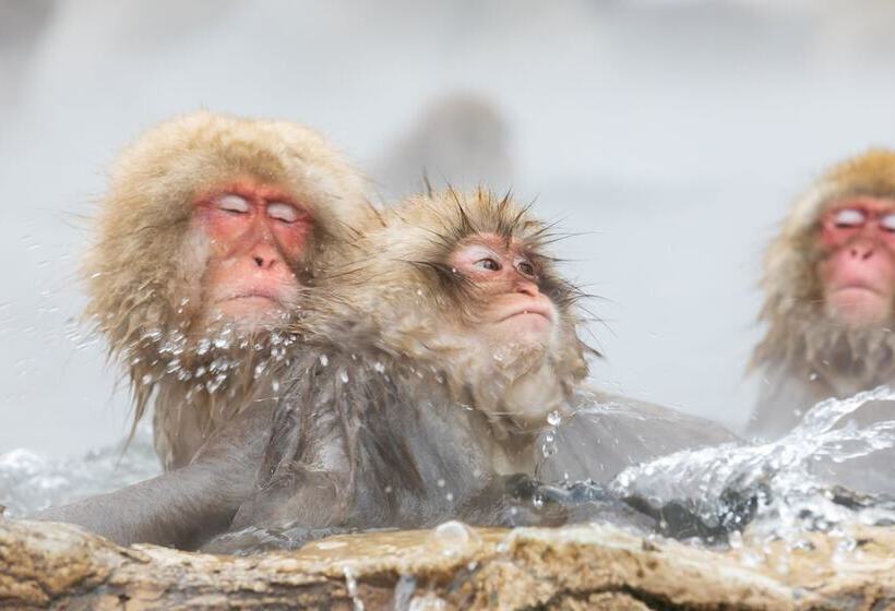 ריוקאן Yudanaka