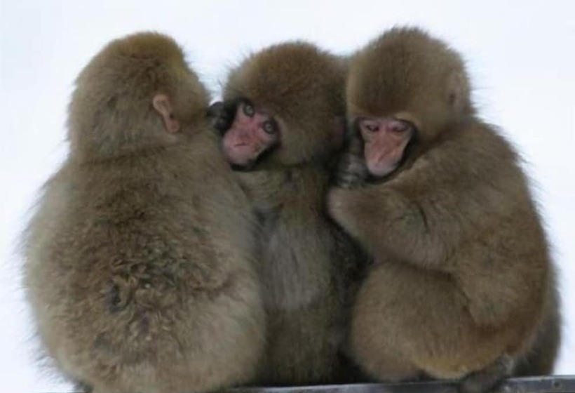 ריוקאן Yudanaka