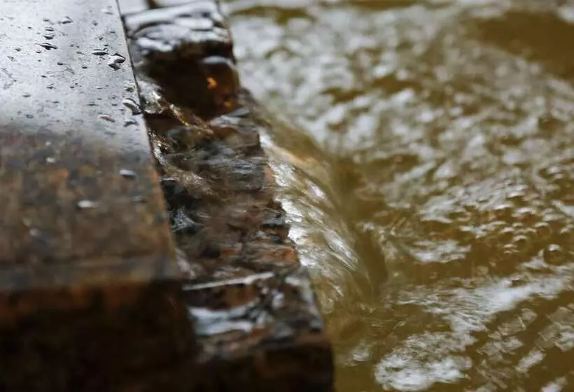 Arima Hot Spring Ryokan Kotori
