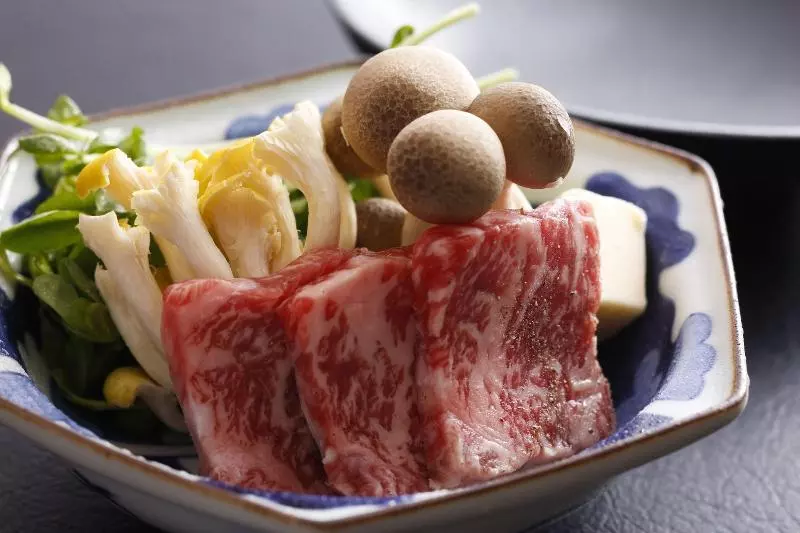 Arima Hot Spring Ryokan Kotori