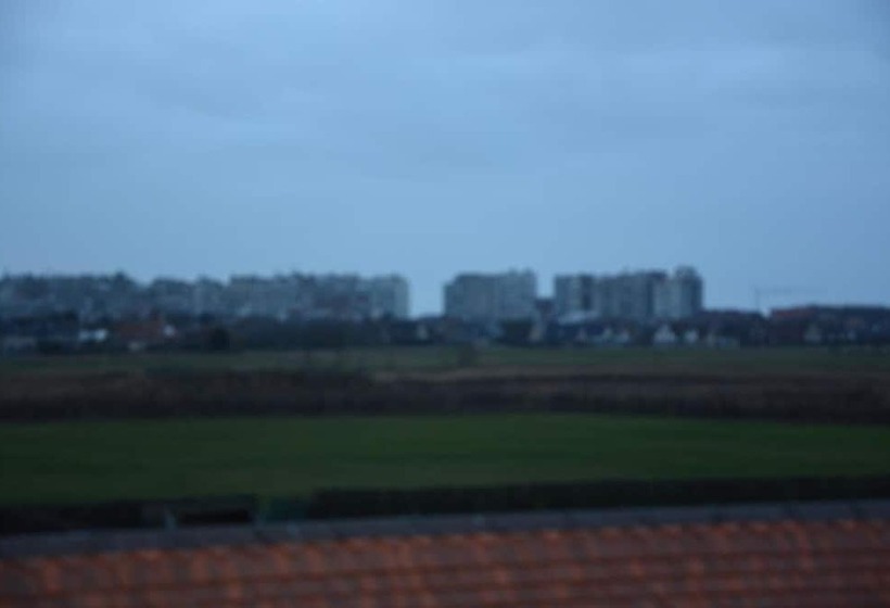 تختخواب و صبحانه Ps Orion