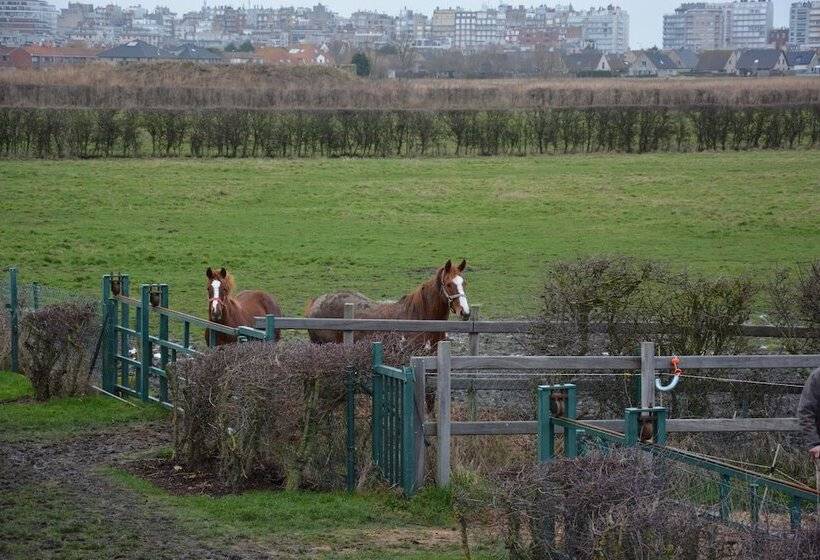 تختخواب و صبحانه Ps Orion