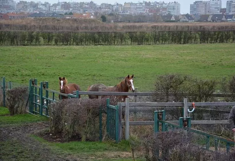 Aamiaismajoitus (B&B) Ps Orion