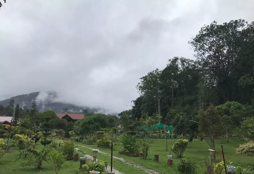 ホテル Happy Paradise