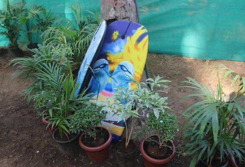 Отель Saturn Beach Cottage