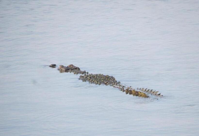 Hotel Thisara Pool Resort Kataragama & Yala & Kabiliththa Safari