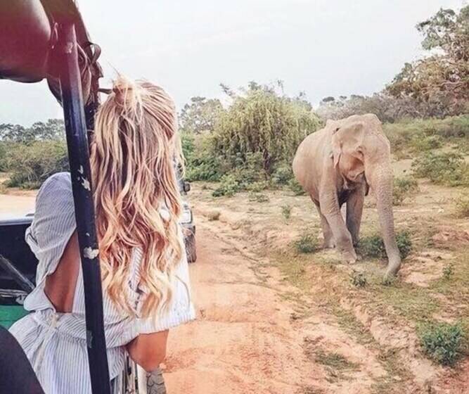 Hotel Thisara Pool Resort Kataragama & Yala & Kabiliththa Safari