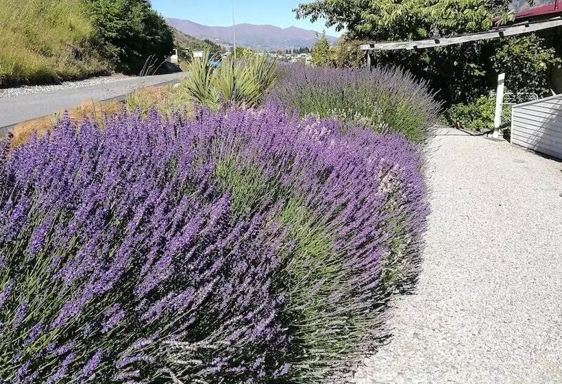 ペンション Aquarius De Lavender Lake View B&b