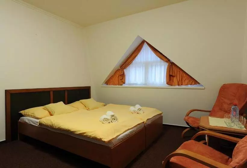 ペンション Wellness Penzion Jarmilka S Privátním Wellness