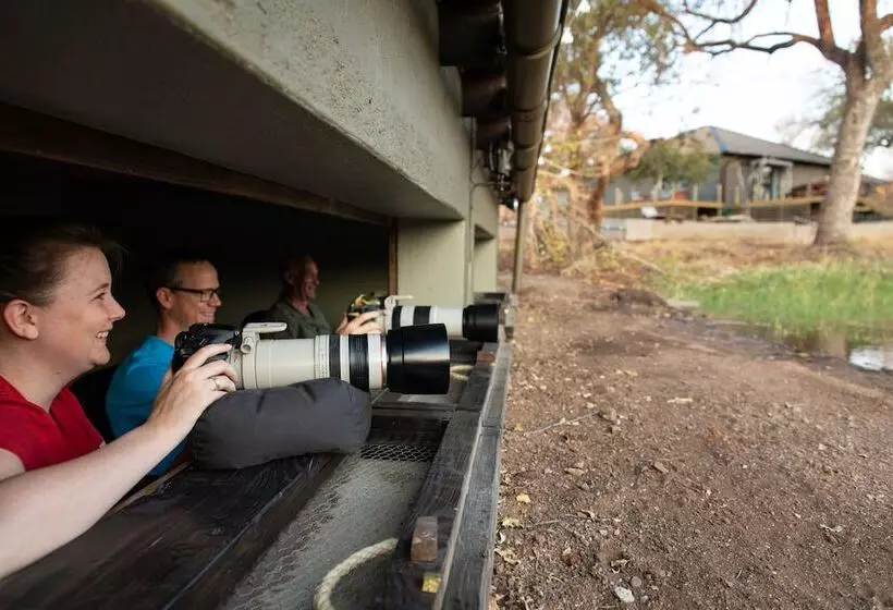 Antares Bush Camp & Safaris   Hostel