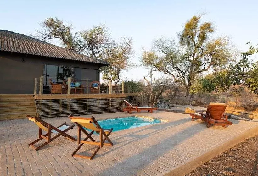 Antares Bush Camp & Safaris   Hostel