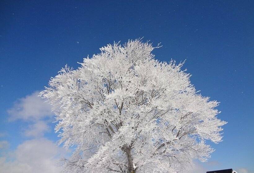 Hotel Gasthof Schi Heil