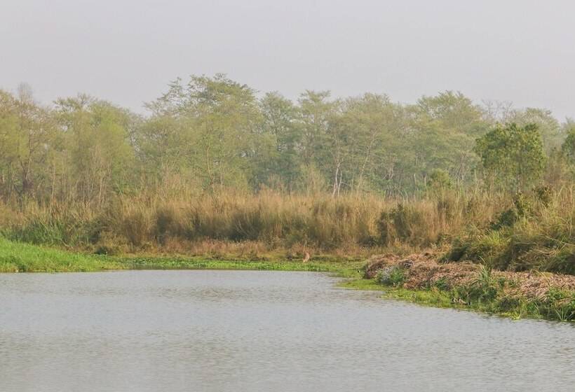 هتل Jagatpur Lodge