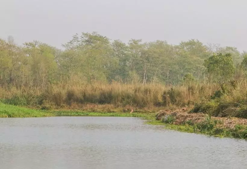 هتل Jagatpur Lodge