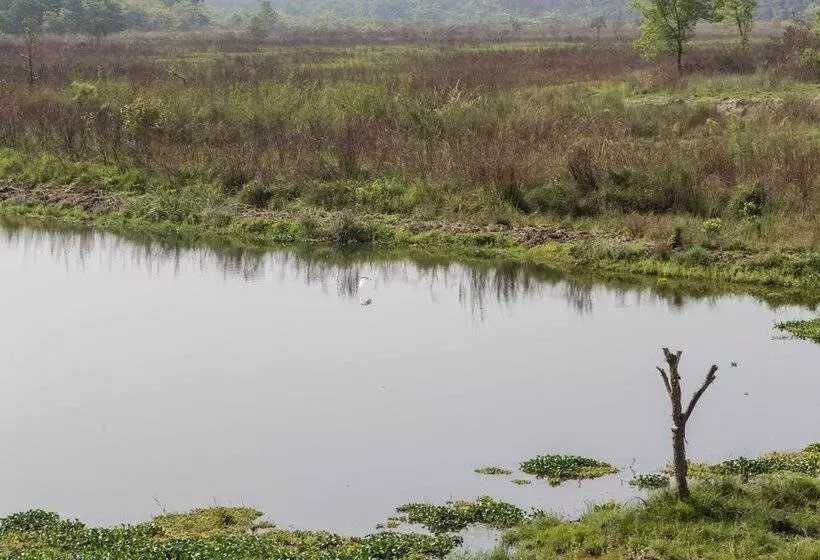 هتل Jagatpur Lodge