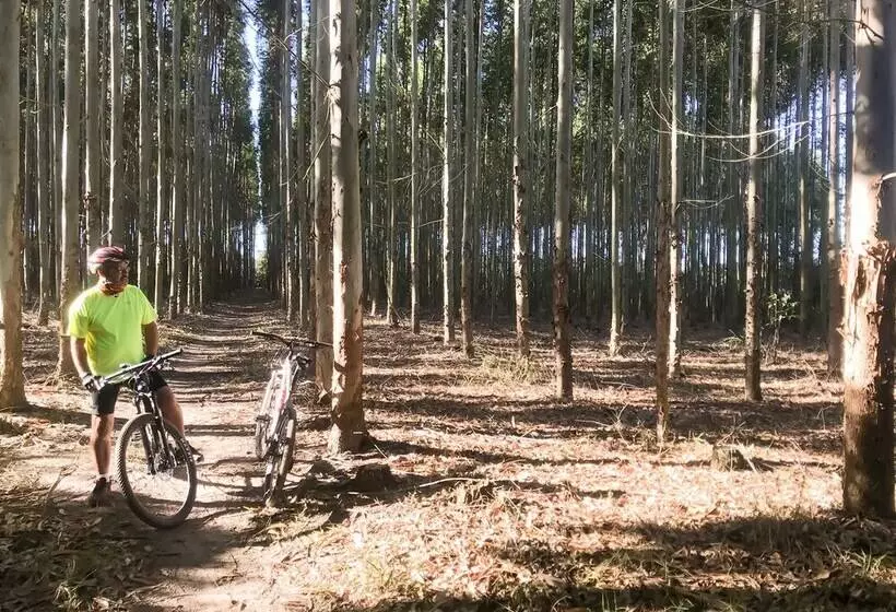 ペンション Ngoye Lodge