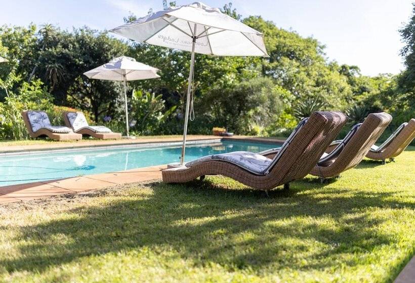 פנסיון Ngoye Lodge