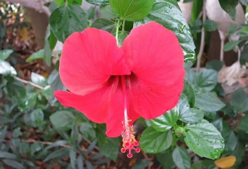 پانسیون Sen Monorom I Guesthouse