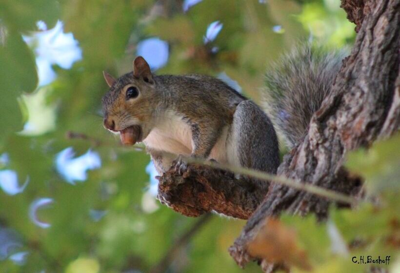 膳宿费 Vredenburg Manor House