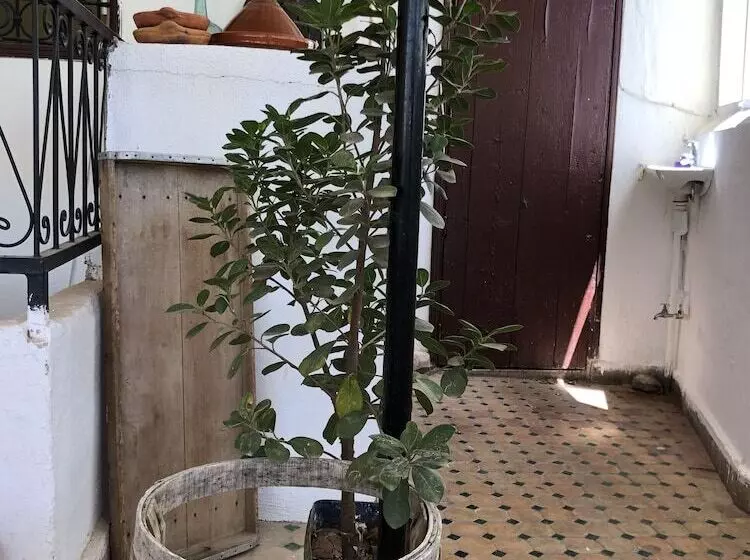 ریاض Dar Lalla Wafae