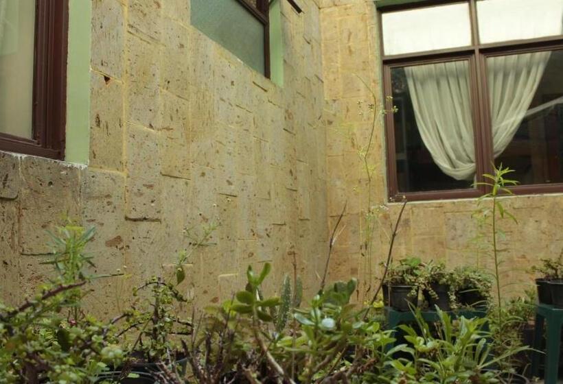 هاستل The Roof Backpackers