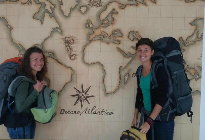 هاستل The Roof Backpackers