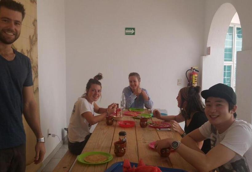 هاستل The Roof Backpackers