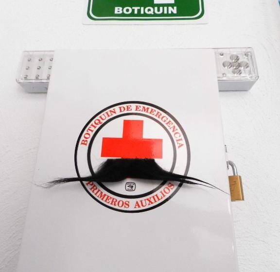 هاستل The Roof Backpackers