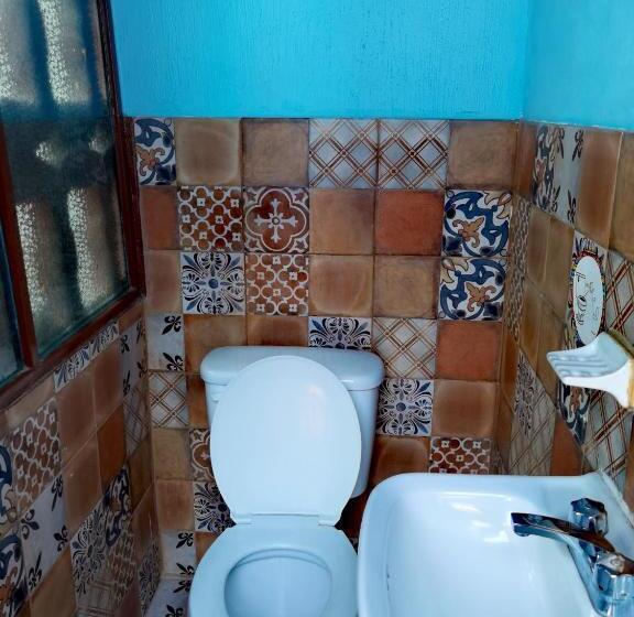 هاستل The Roof Backpackers