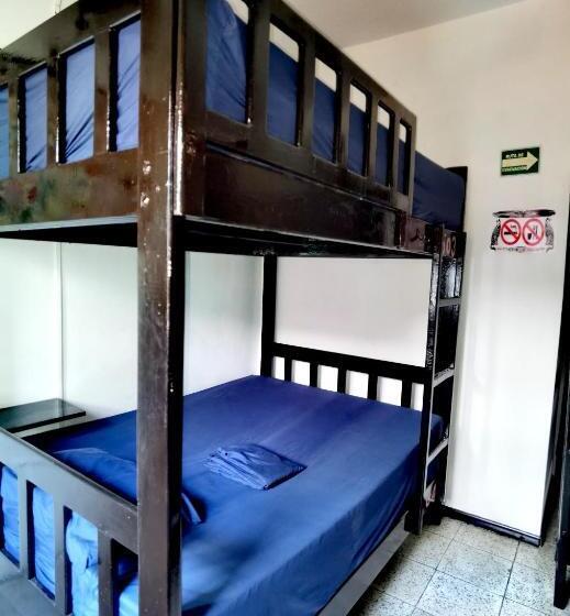 هاستل The Roof Backpackers