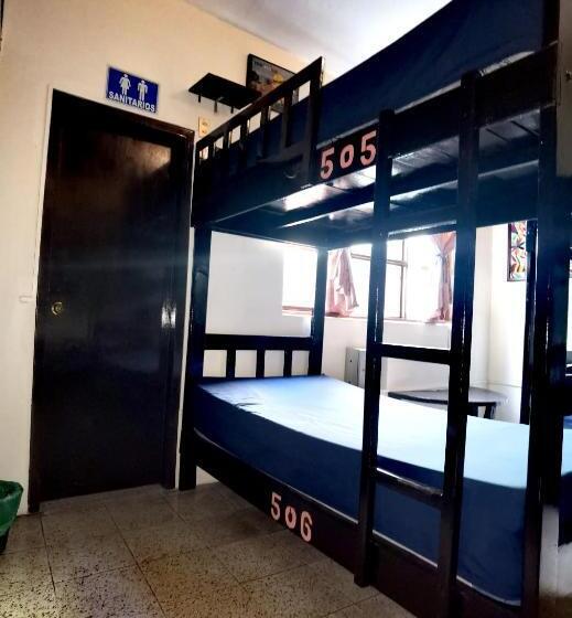 هاستل The Roof Backpackers