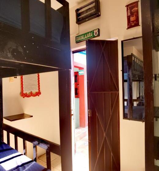 هاستل The Roof Backpackers