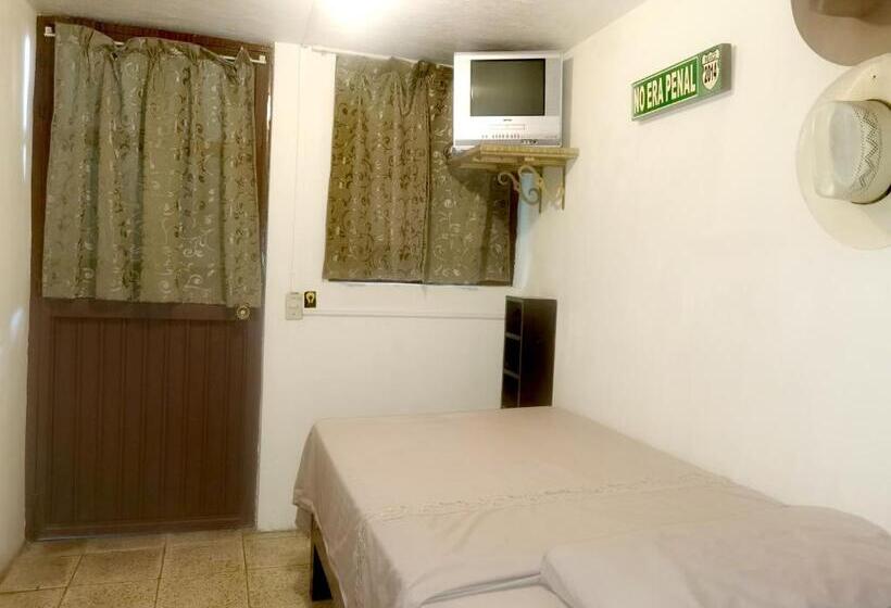 هاستل The Roof Backpackers