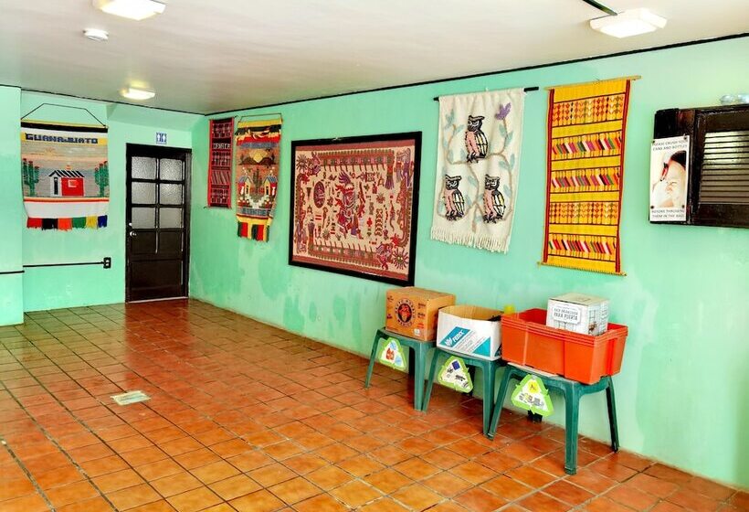 هاستل The Roof Backpackers