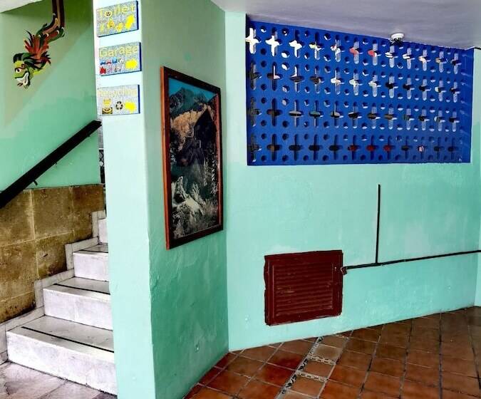 هاستل The Roof Backpackers