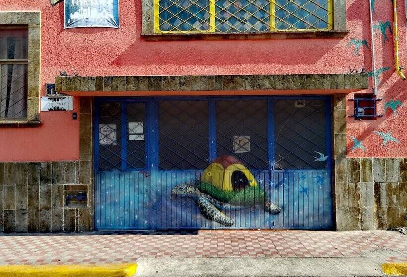 هاستل The Roof Backpackers