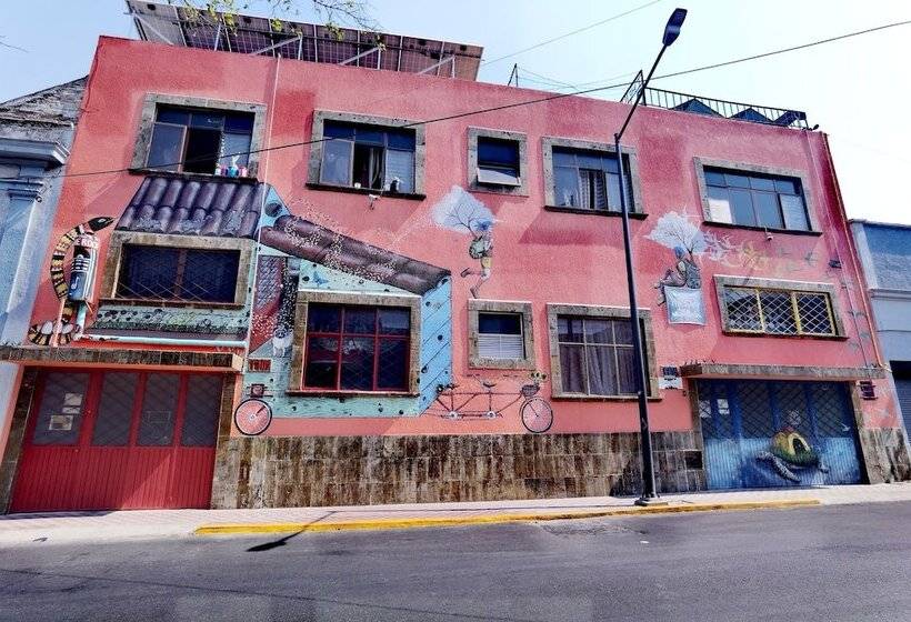 هاستل The Roof Backpackers