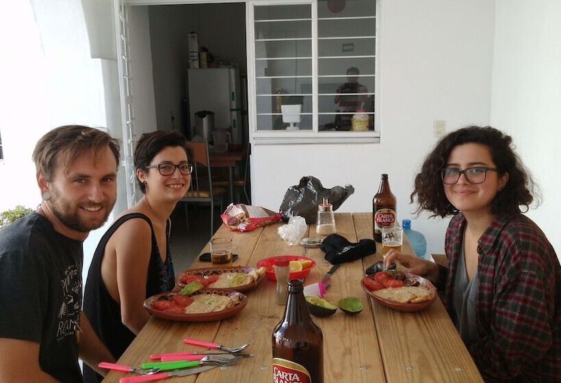 هاستل The Roof Backpackers