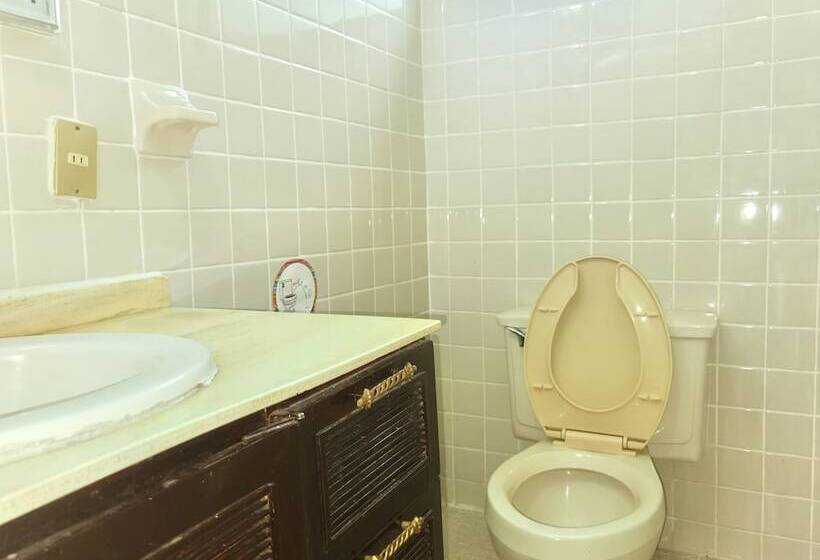 هاستل The Roof Backpackers