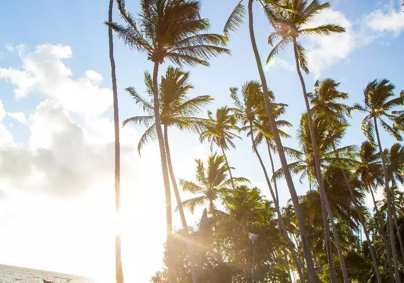 Club Meridional  Praia Dos Carneiros