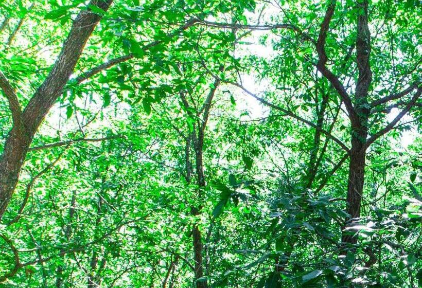 هتل Yufuin Tsukahara Villa Erina