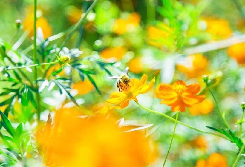 هتل Yufuin Tsukahara Villa Erina