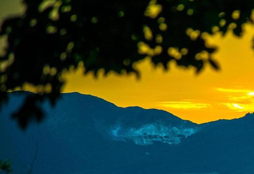 هتل Yufuin Tsukahara Villa Erina