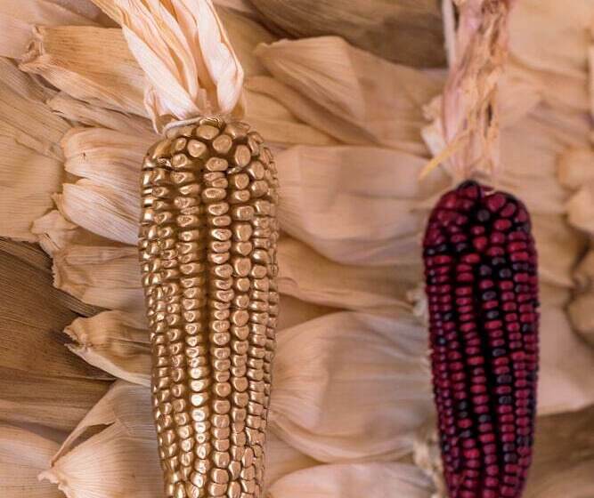 Пансион Meztli: Casa Boutique & Spa